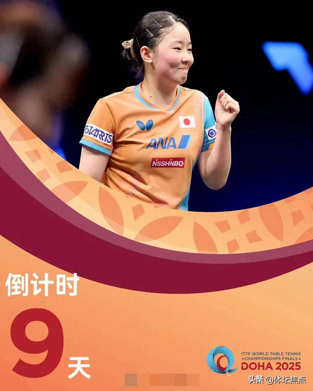 的探索将迎 的探索将迎